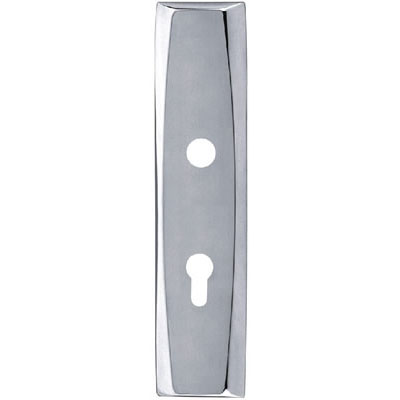 Stainless Steel Handle Plate